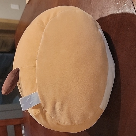 (J3) Daryl the dog with glasses Squishmallow - Picture 8 of 8